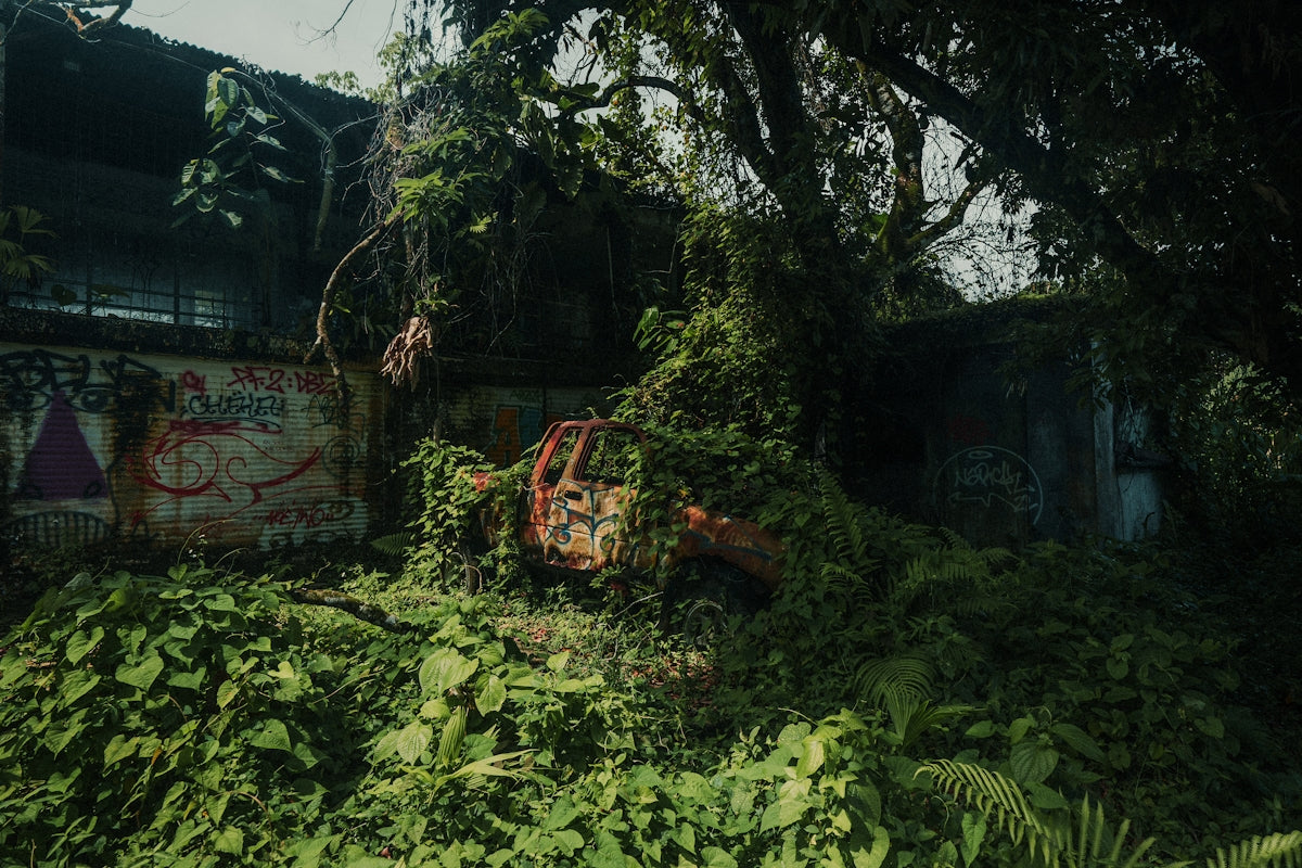 A large pile of green plants next to a building